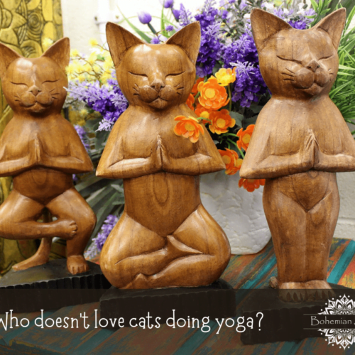 Yoga Cats